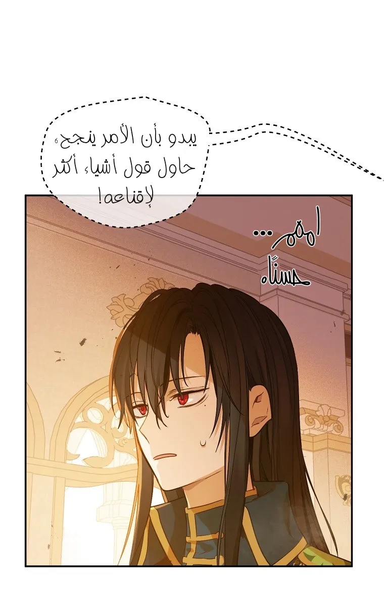 الصفحة 17 من 85