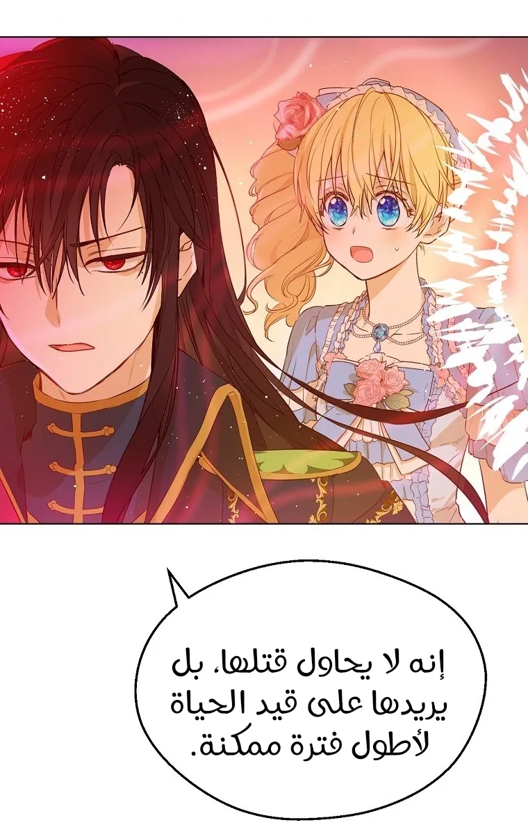 الصفحة 41 من 85