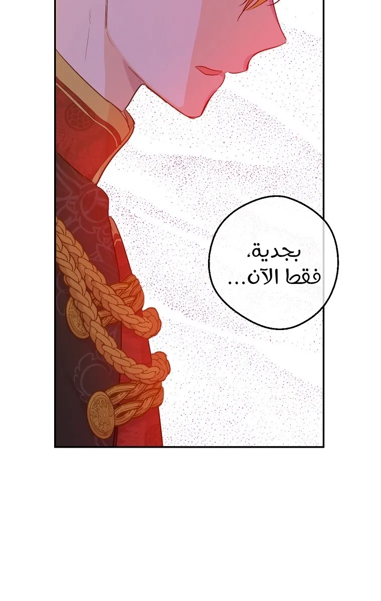 الصفحة 14 من 85