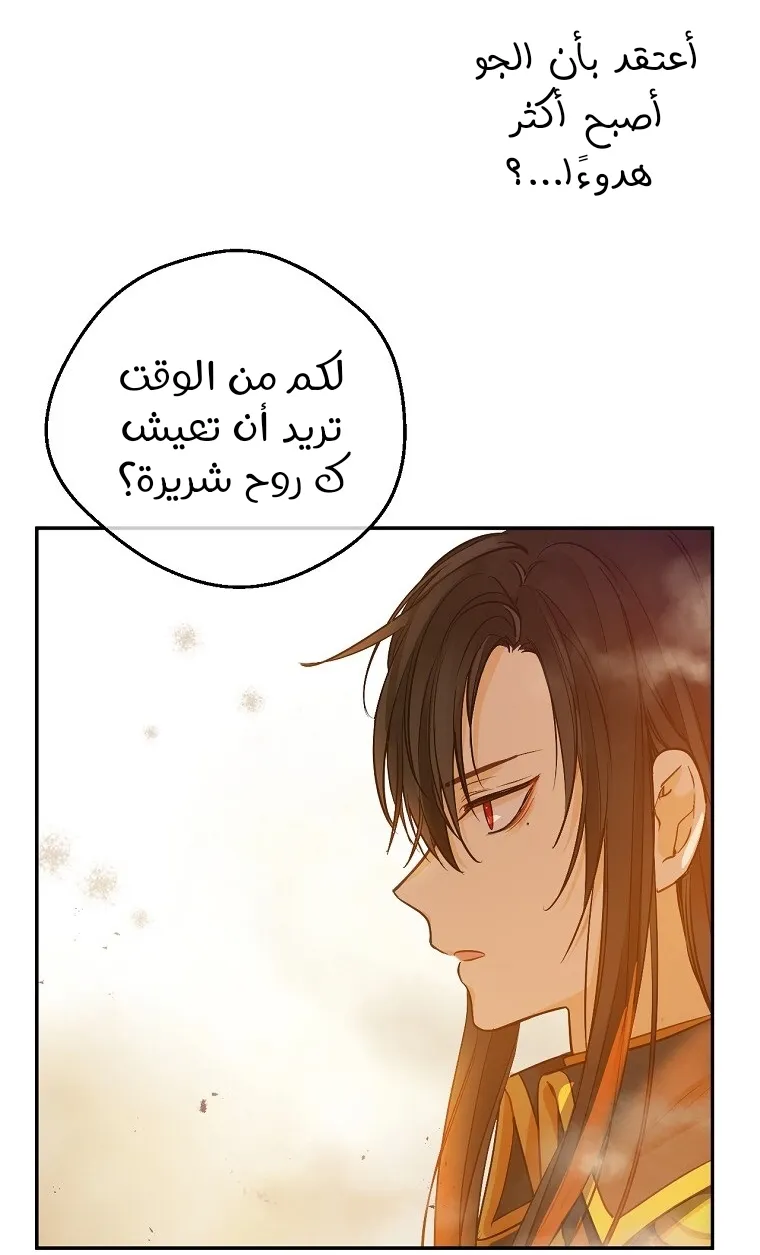 الصفحة 4 من 85