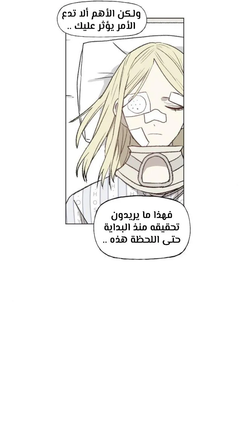 الصفحة 12 من 60