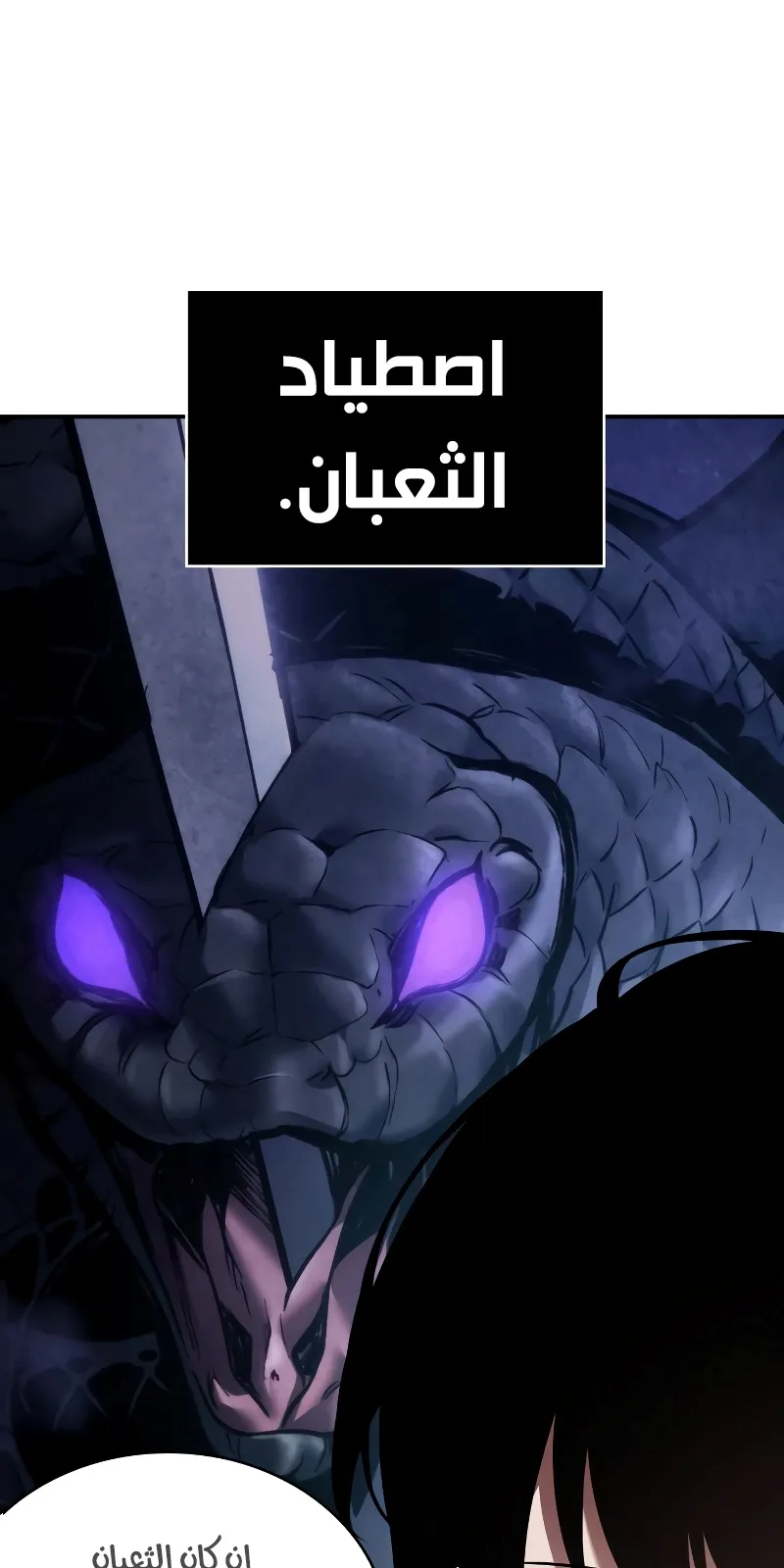 الصفحة 11 من 78
