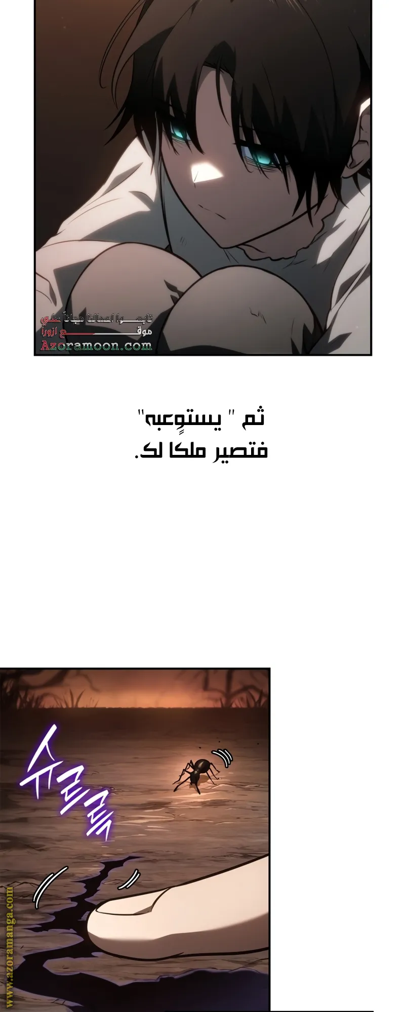الصفحة 3 من 81