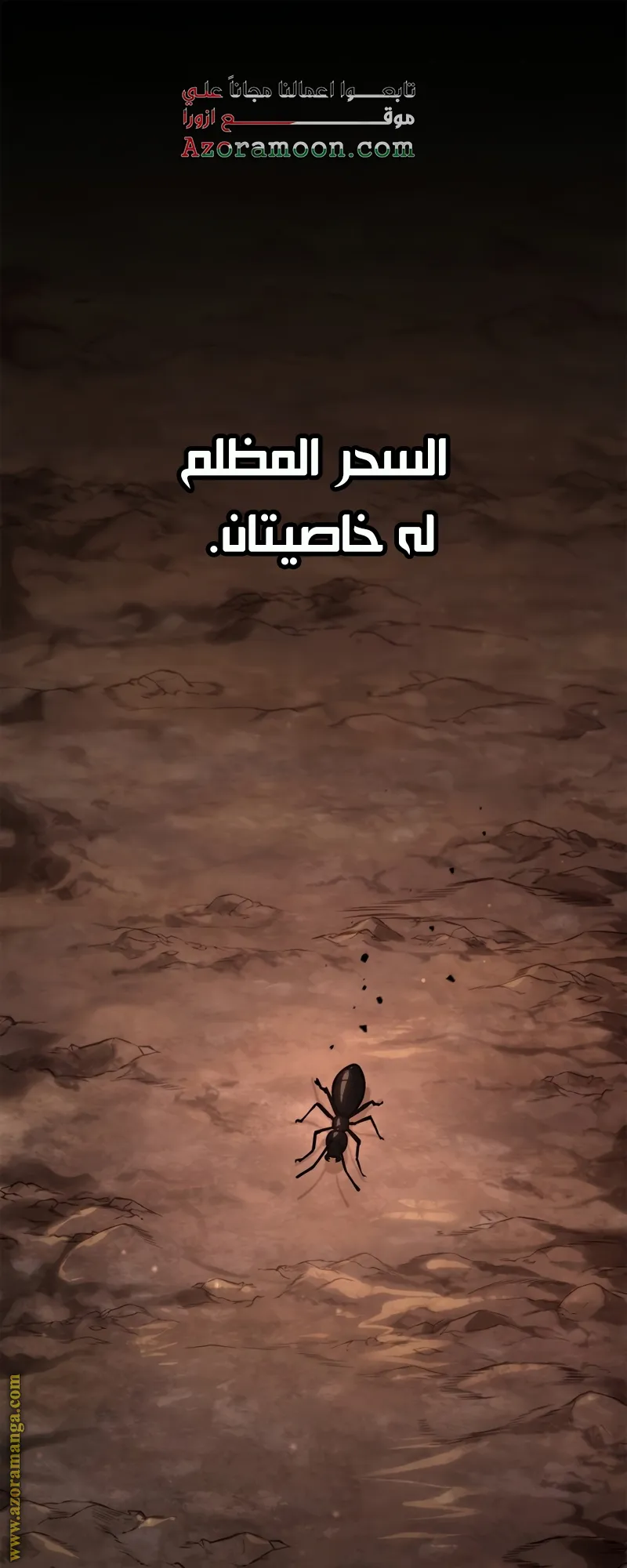 الصفحة 1 من 81