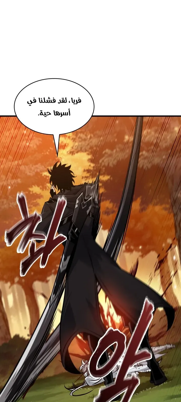 الصفحة 13 من 79