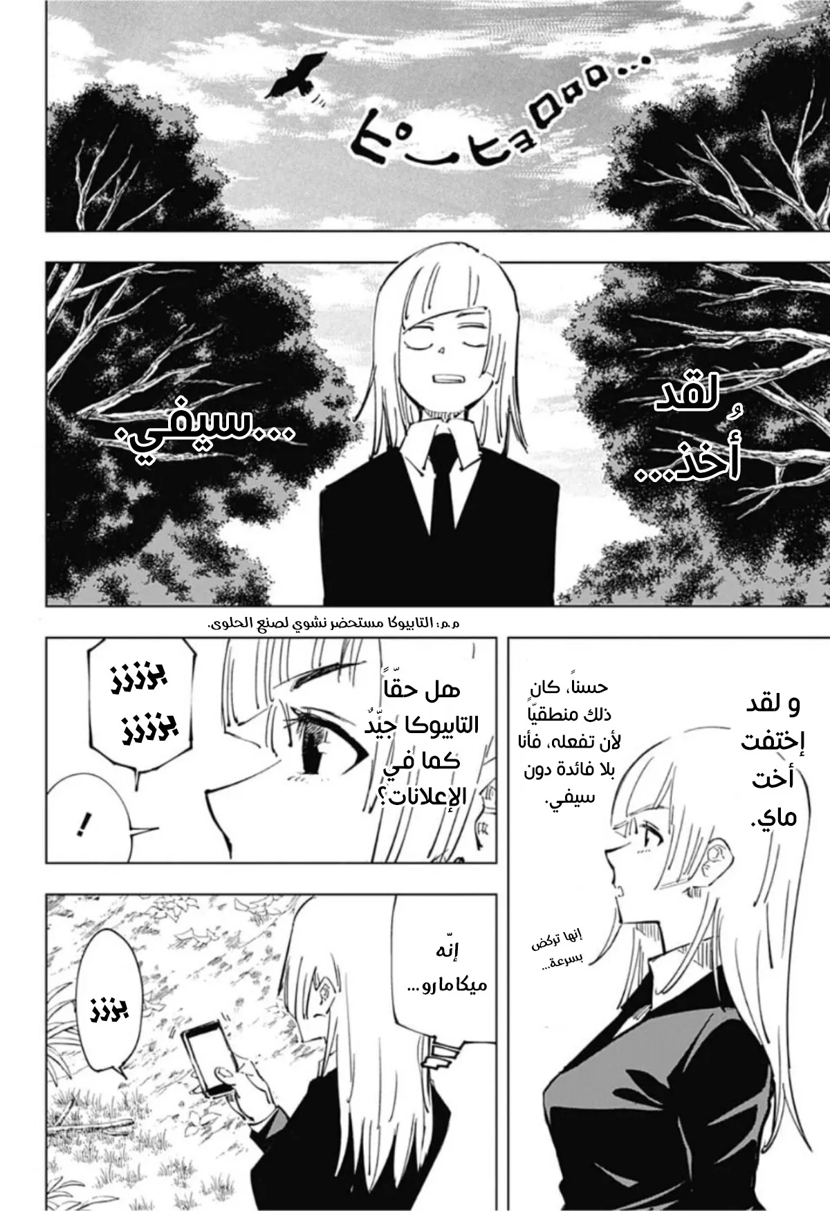 الصفحة 11 من 21