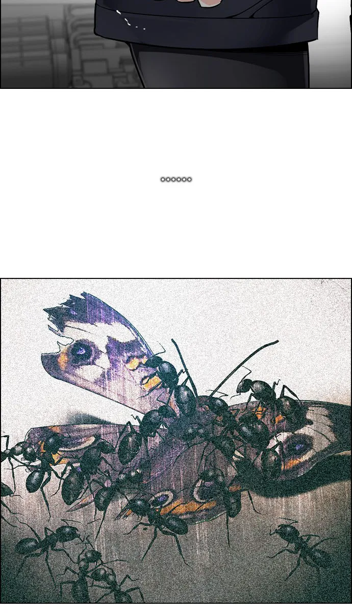 الصفحة 38 من 66