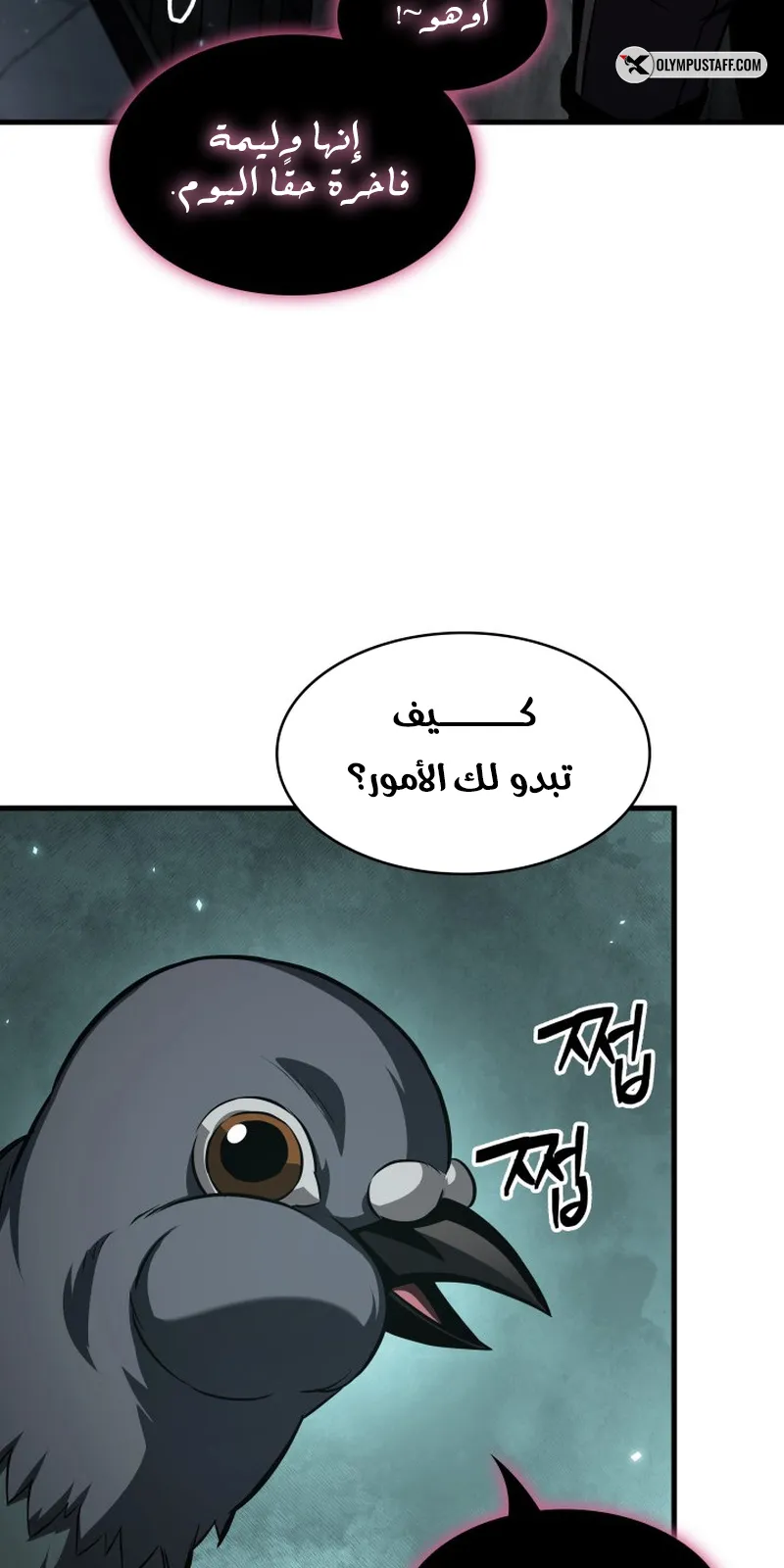 الصفحة 7 من 109