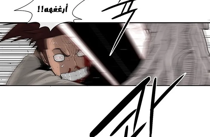 الصفحة 46 من 147