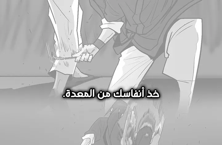 الصفحة 33 من 147