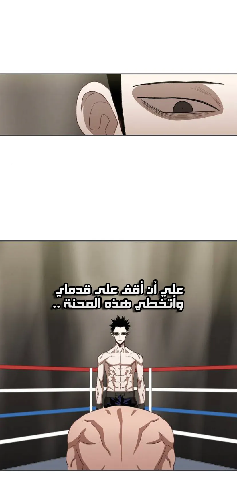 الصفحة 53 من 77