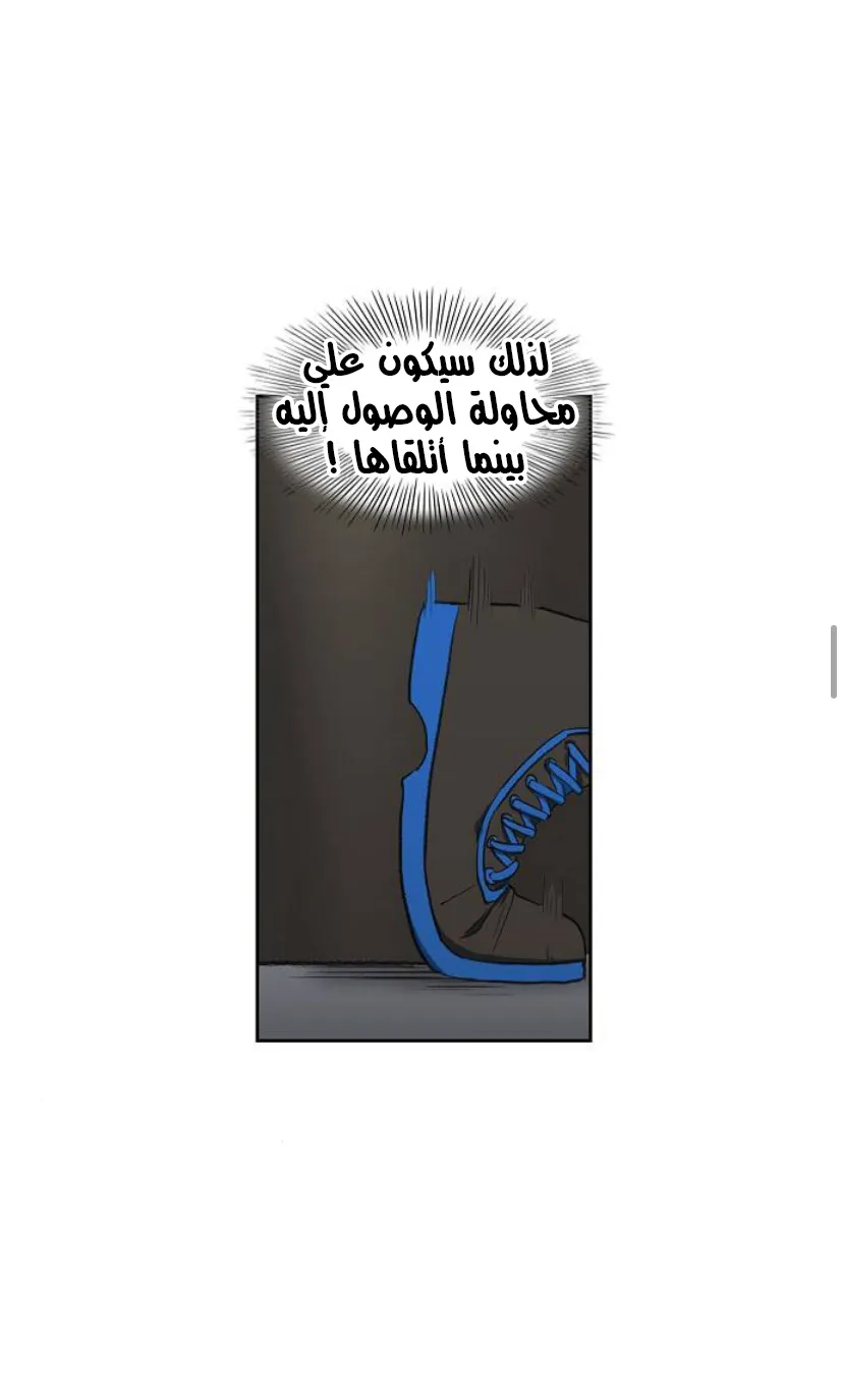 الصفحة 29 من 77