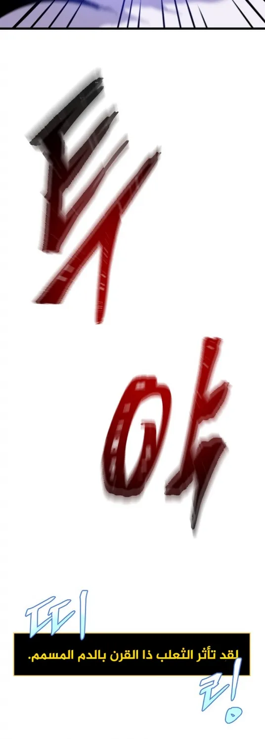 الصفحة 37 من 75