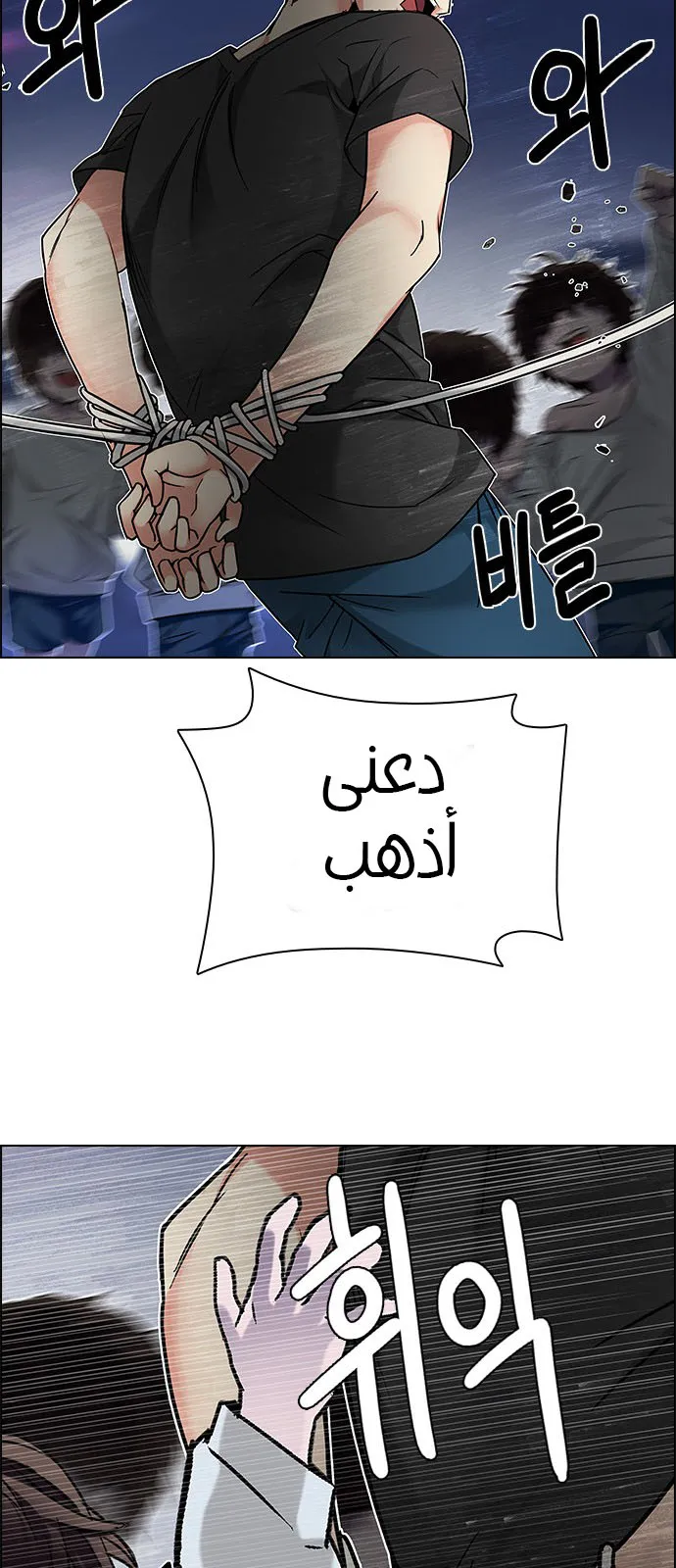 الصفحة 81 من 113