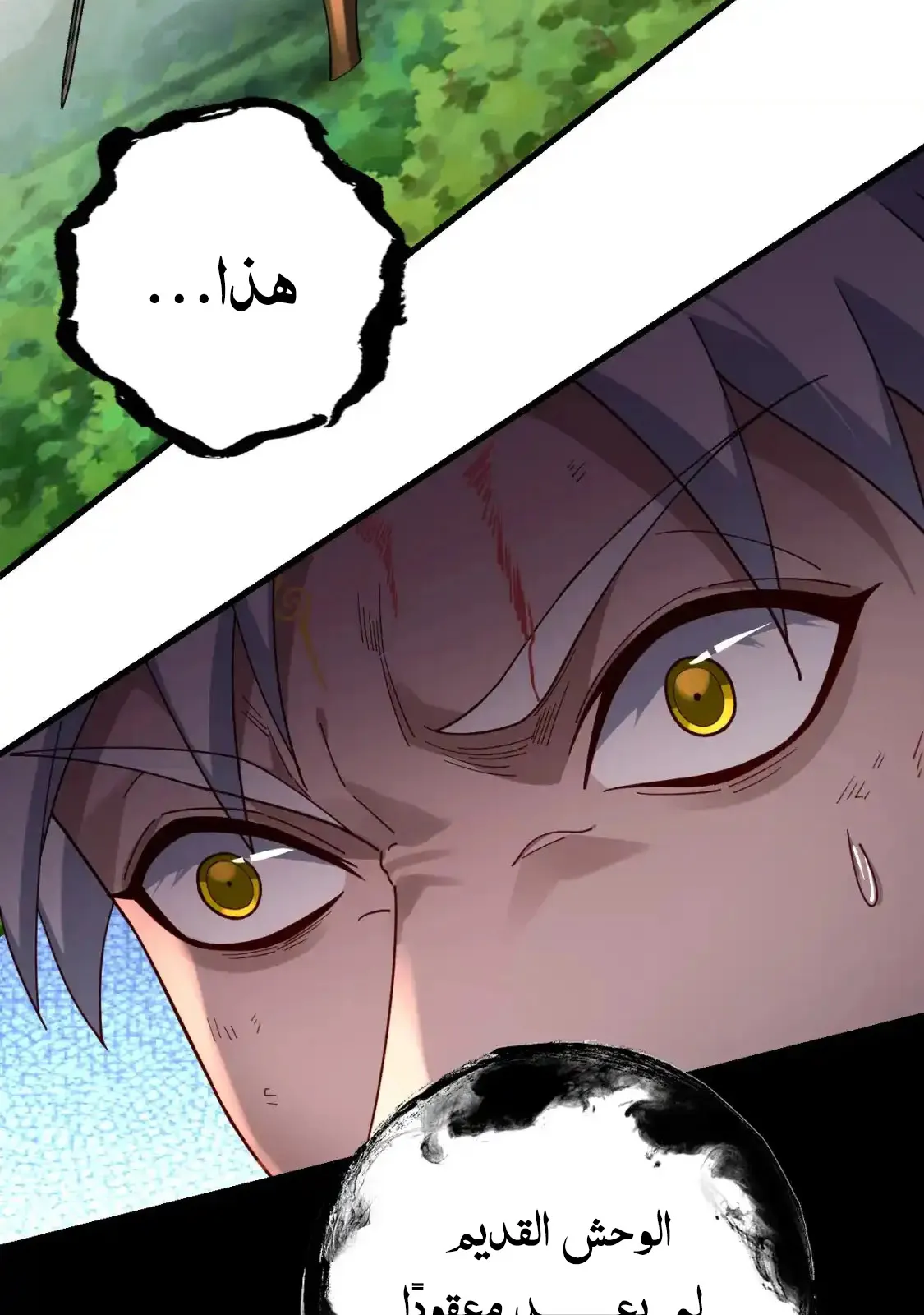 الصفحة 37 من 76