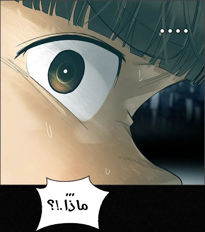 الصفحة 31 من 66