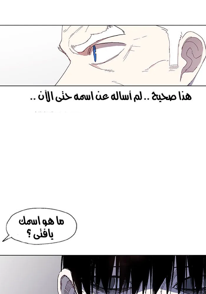 الصفحة 31 من 48