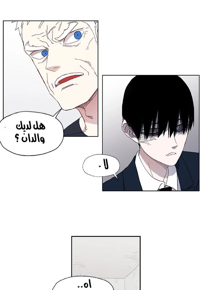 الصفحة 29 من 48