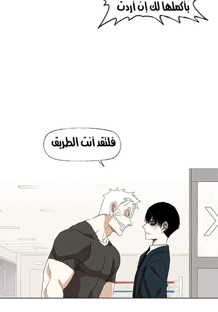 الصفحة 17 من 48