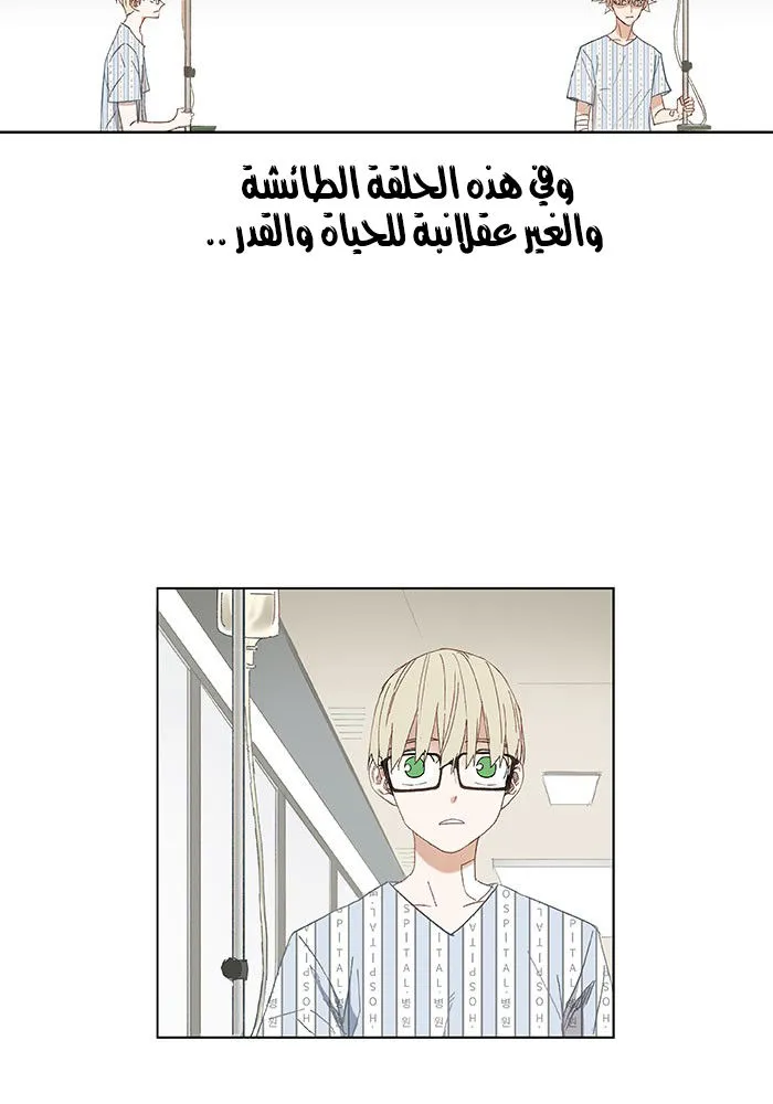 الصفحة 42 من 48