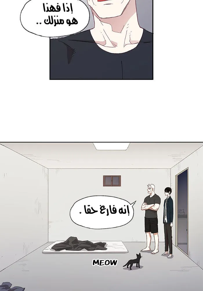 الصفحة 27 من 48