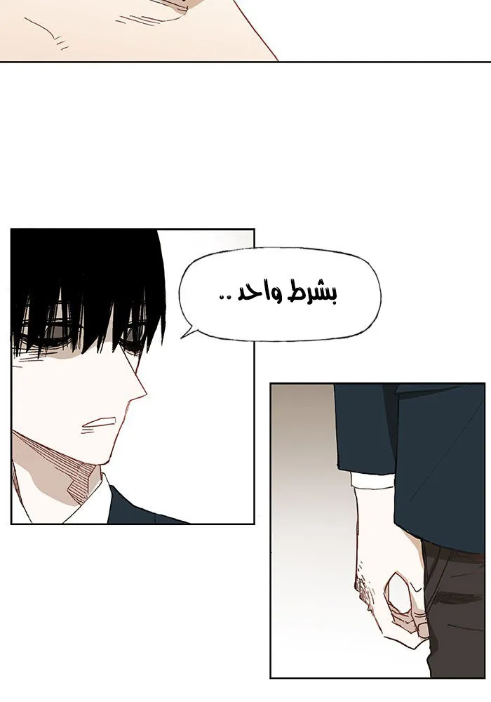 الصفحة 11 من 48