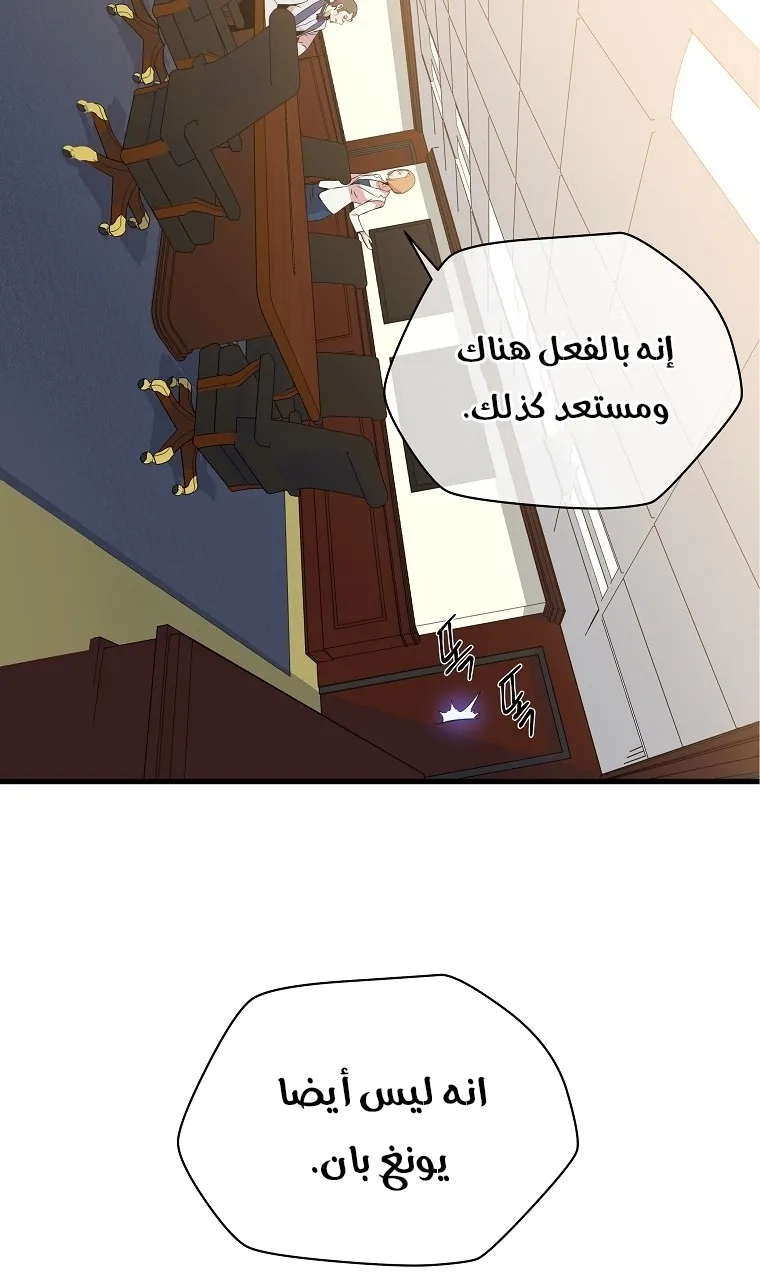 الصفحة 33 من 81