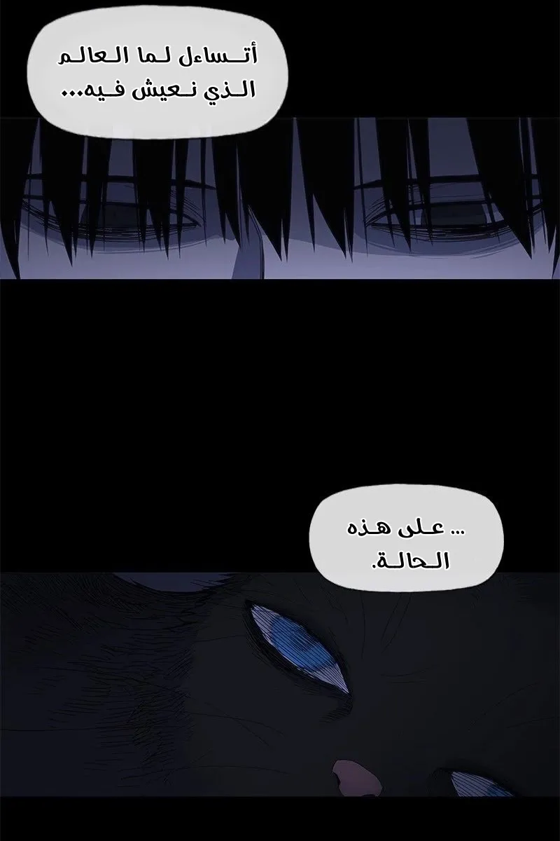 الصفحة 67 من 89