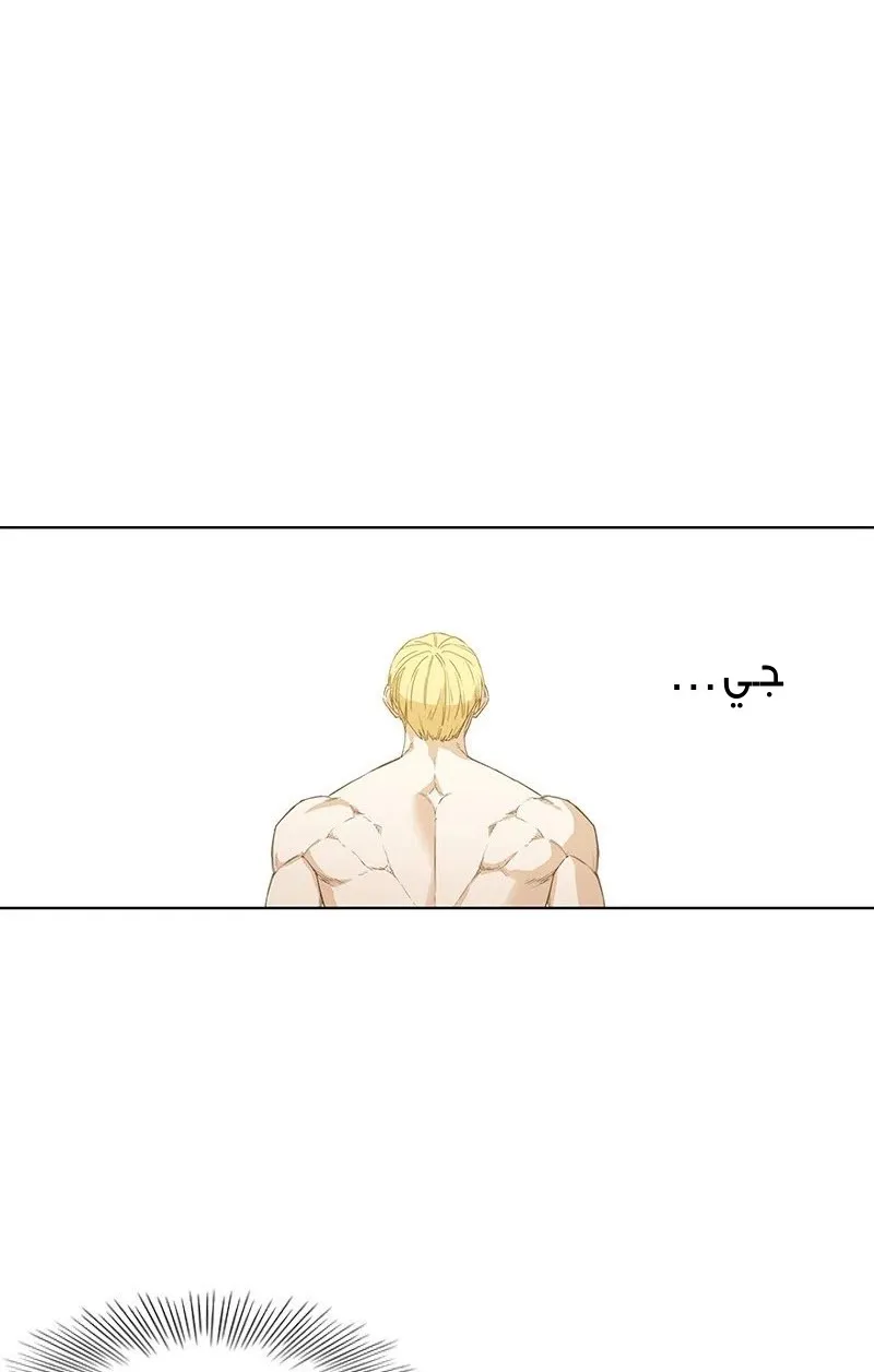 الصفحة 23 من 89