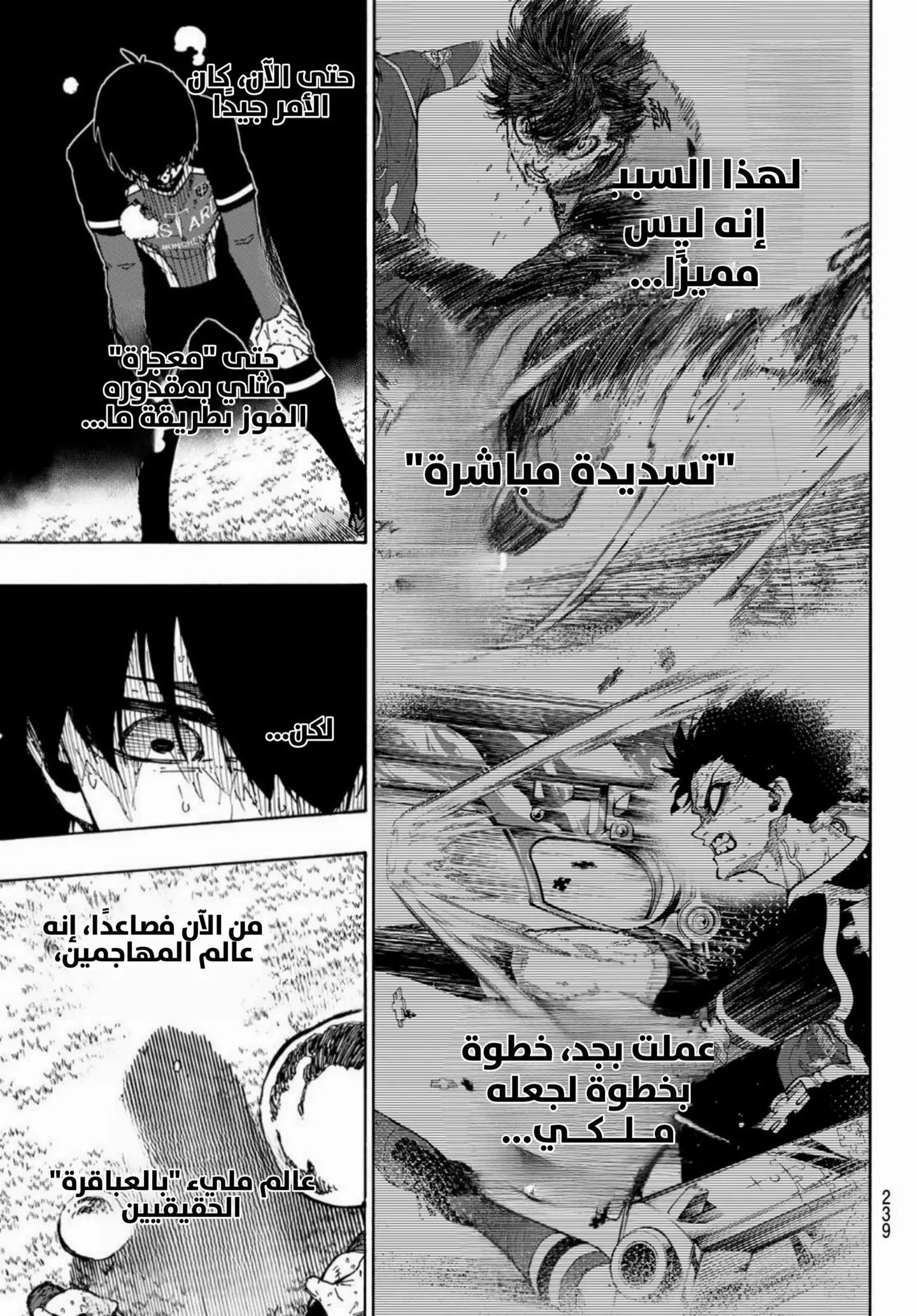 الصفحة 15 من 19