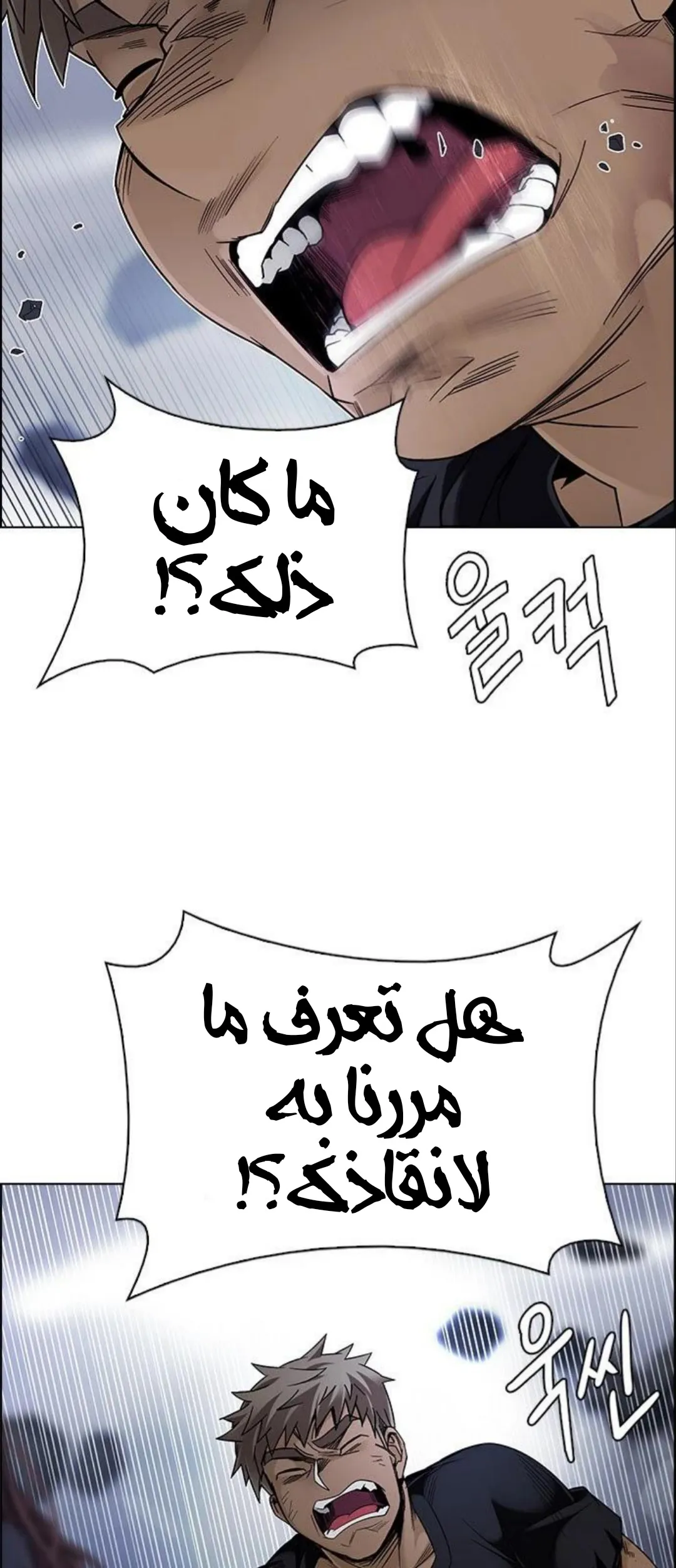 الصفحة 38 من 76