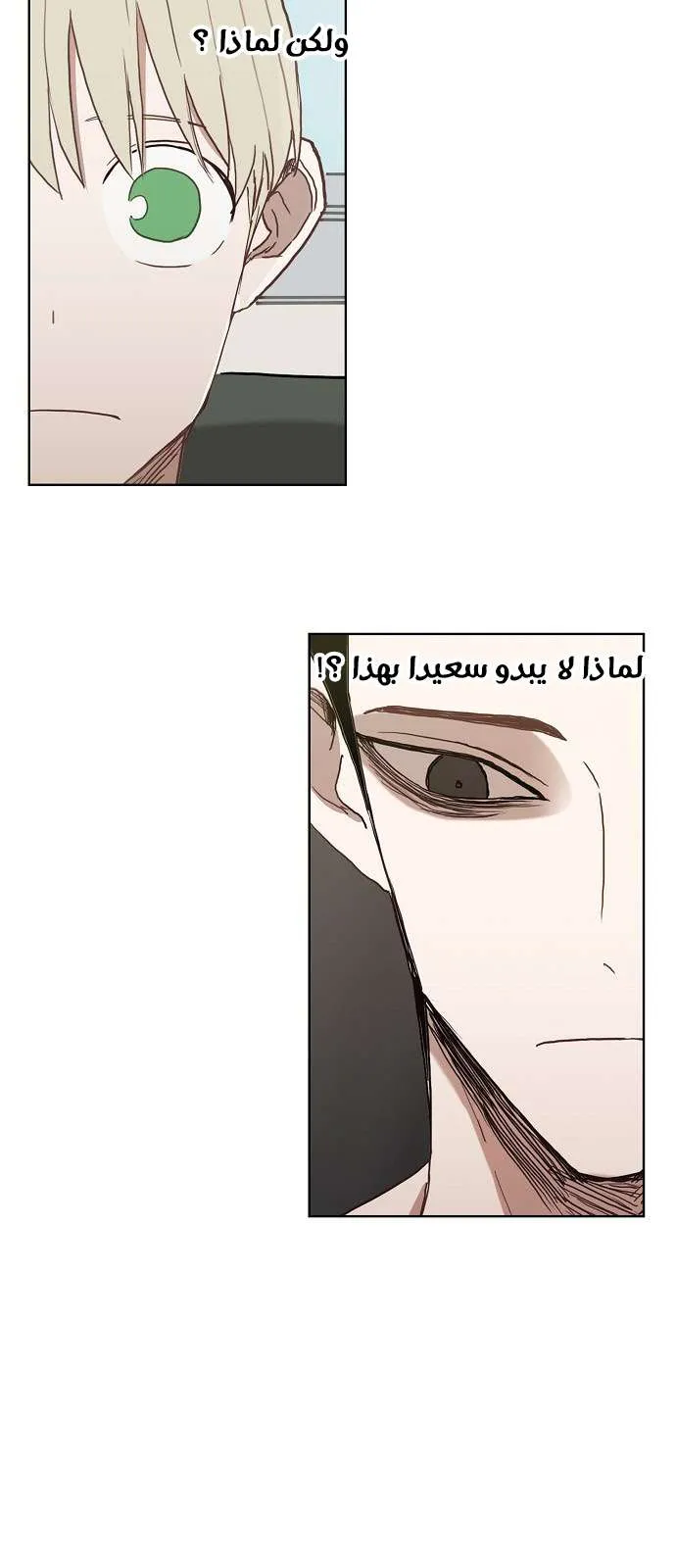 الصفحة 27 من 44