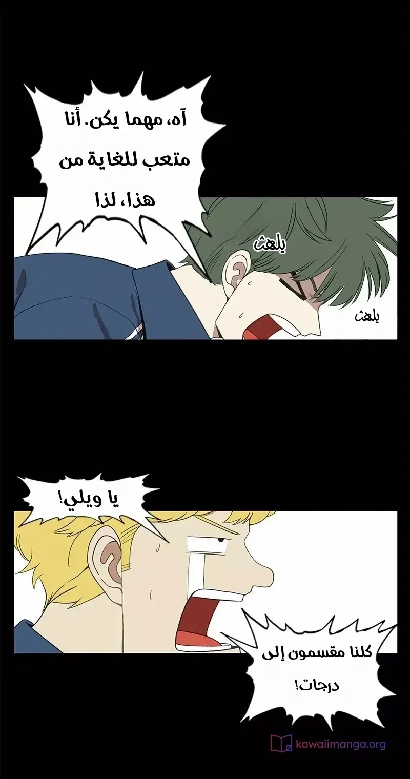 الصفحة 7 من 80