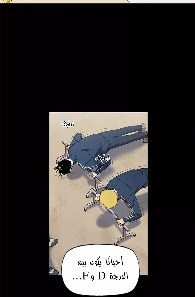 الصفحة 14 من 80