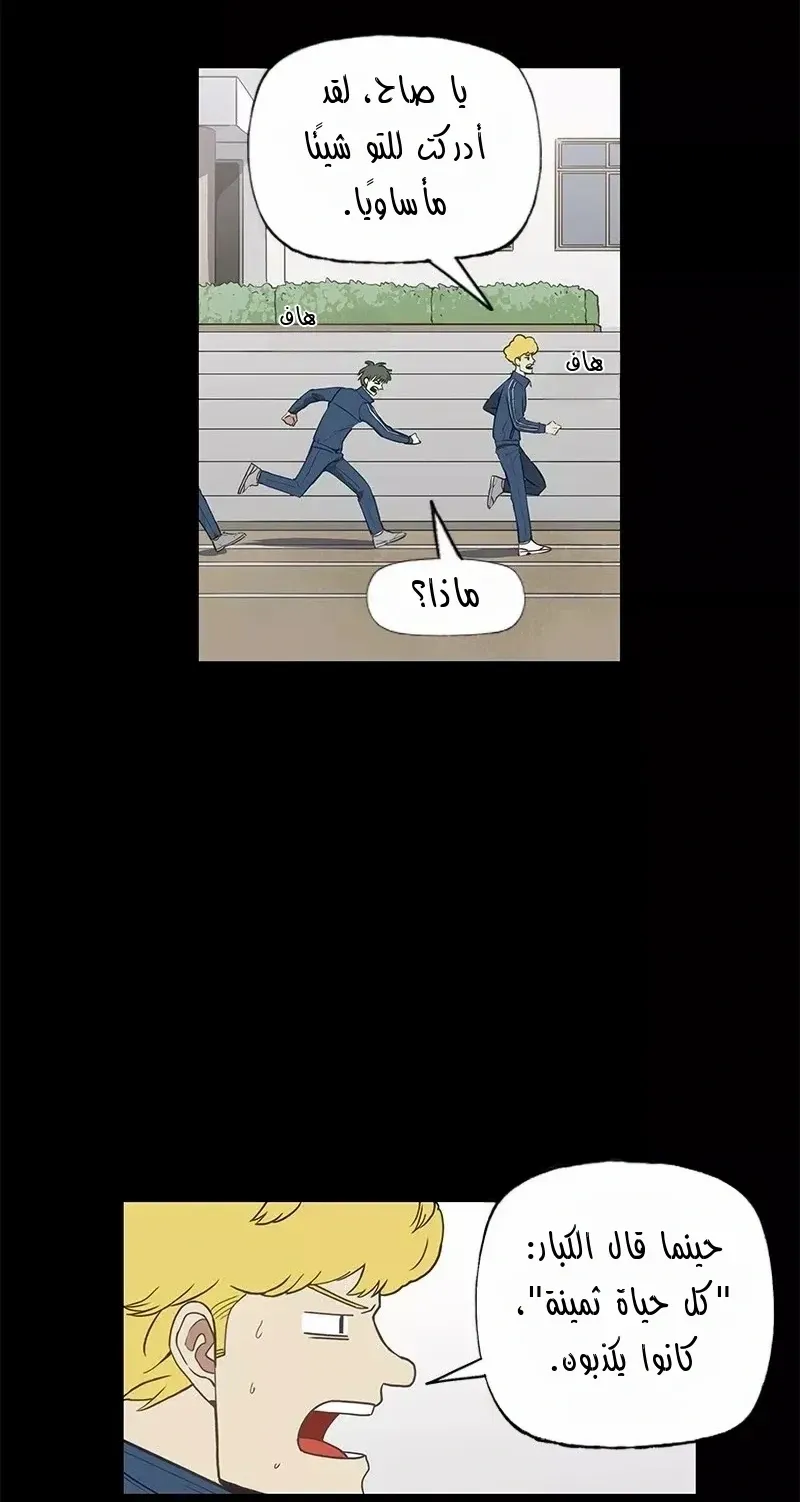 الصفحة 3 من 80