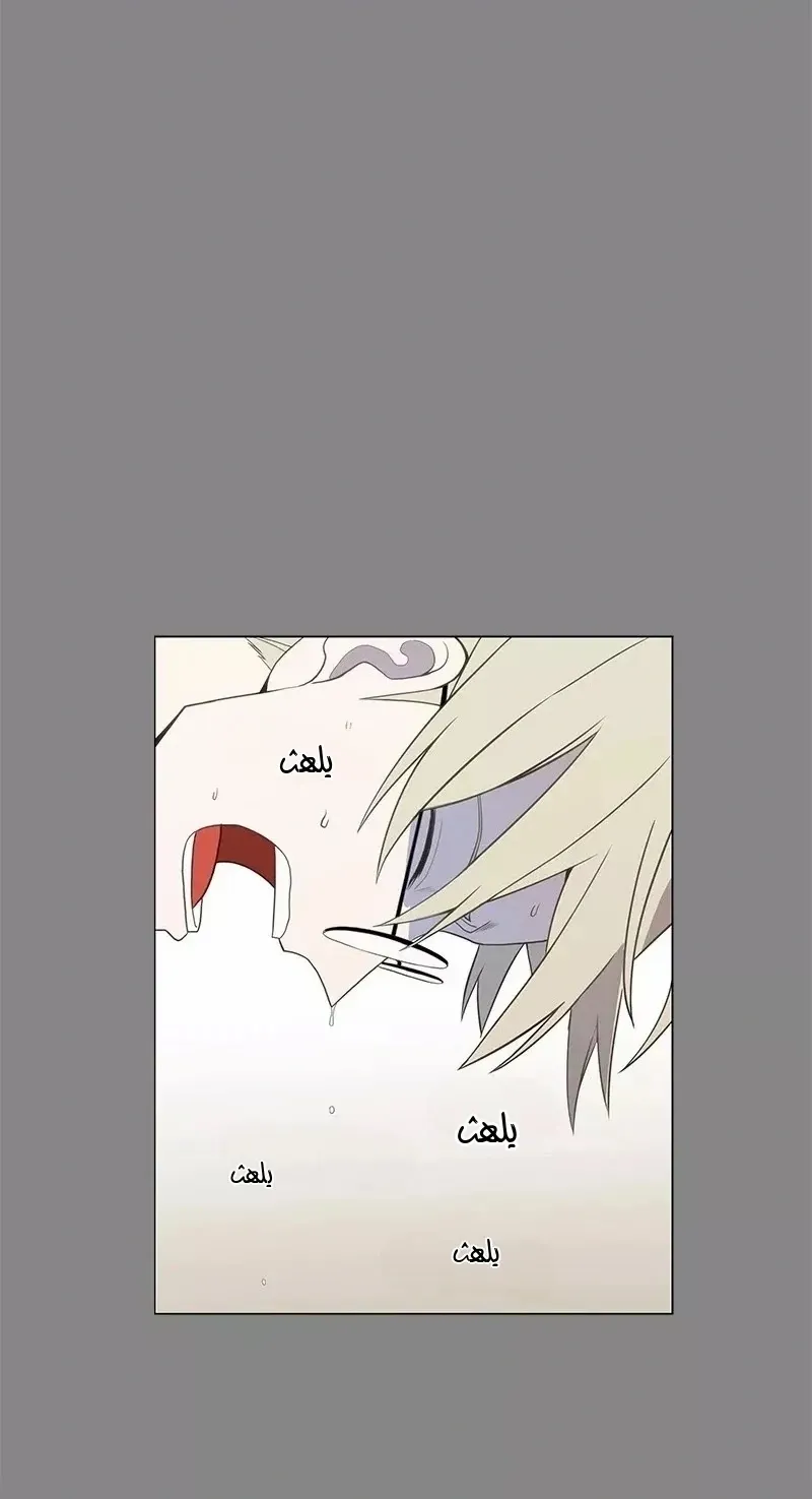 الصفحة 72 من 80
