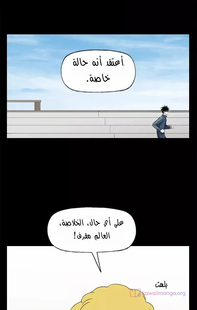 الصفحة 19 من 80