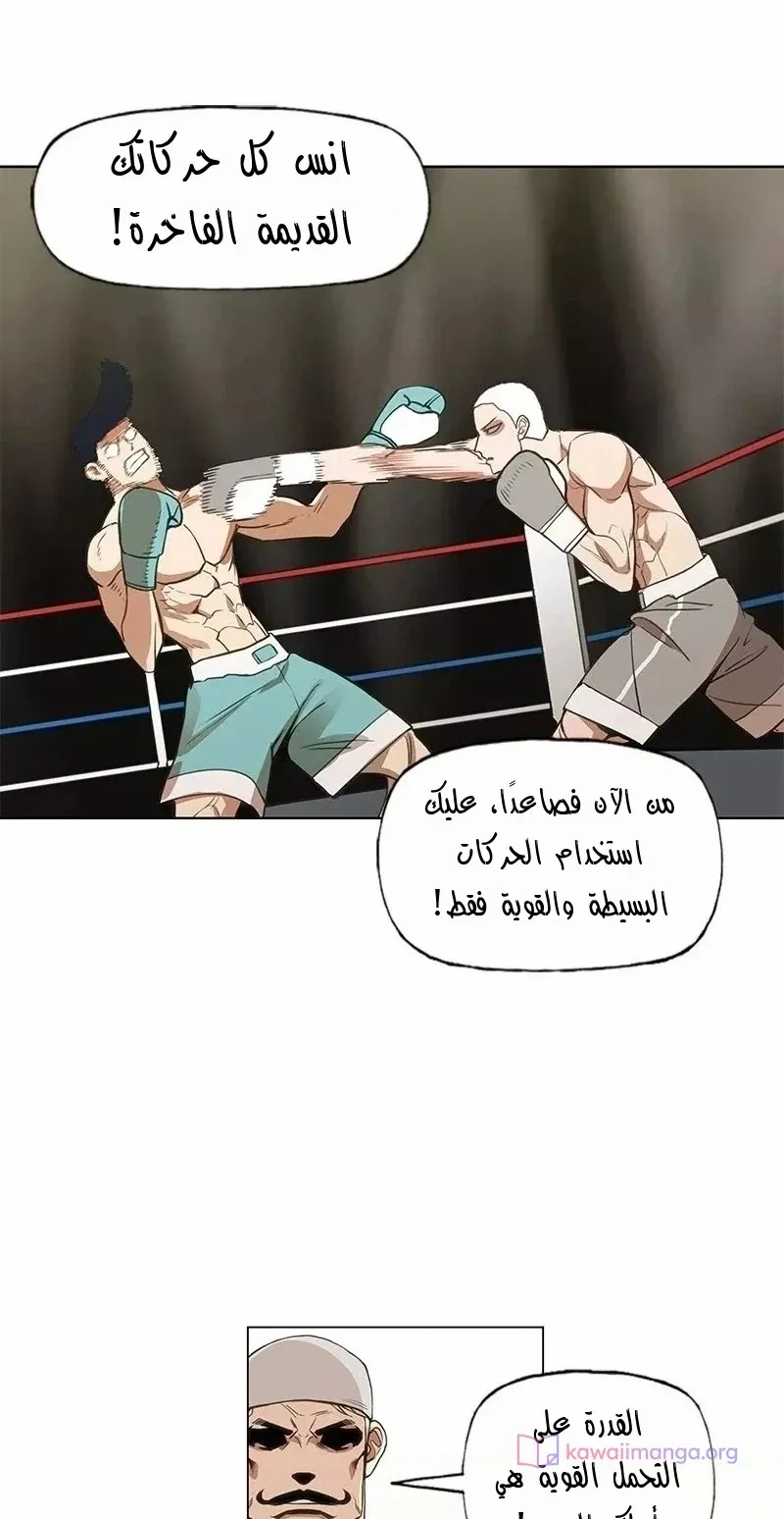 الصفحة 28 من 80