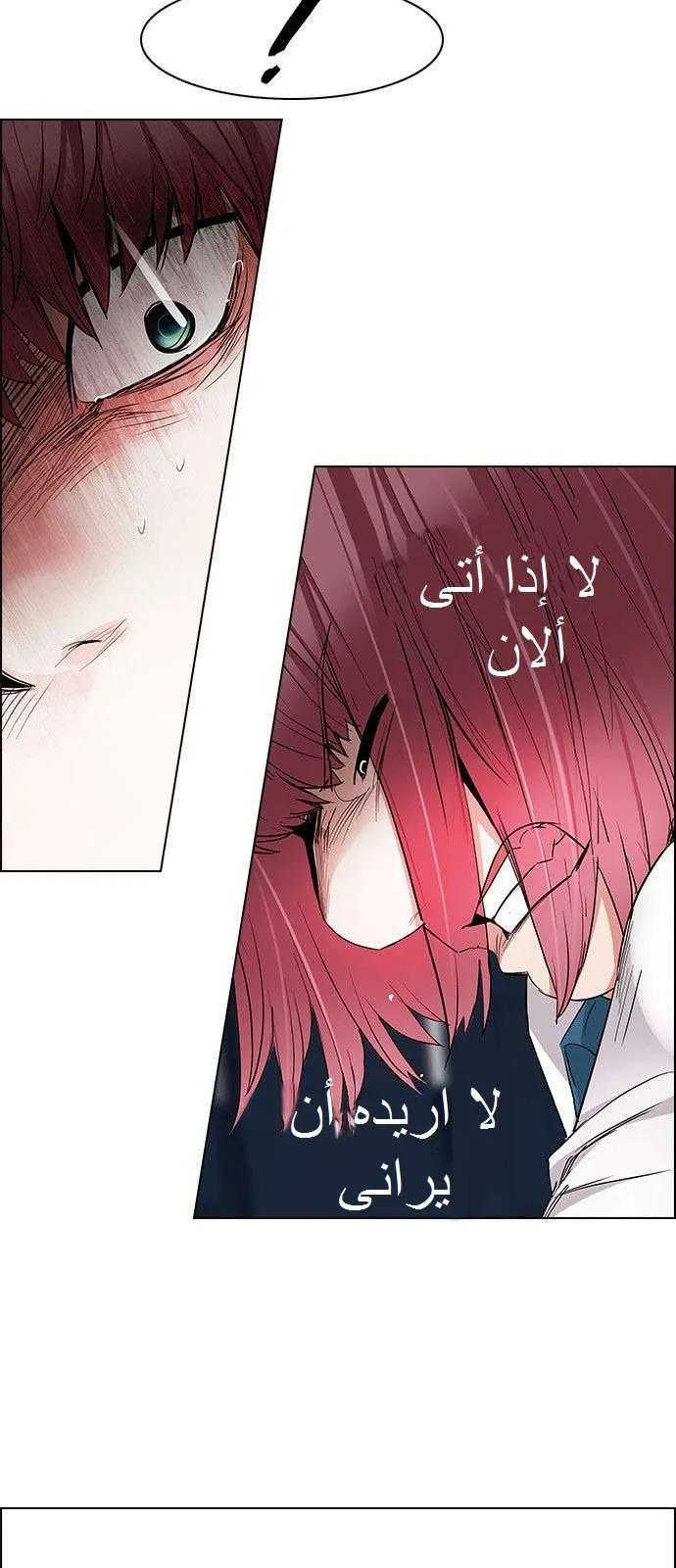 الصفحة 15 من 48