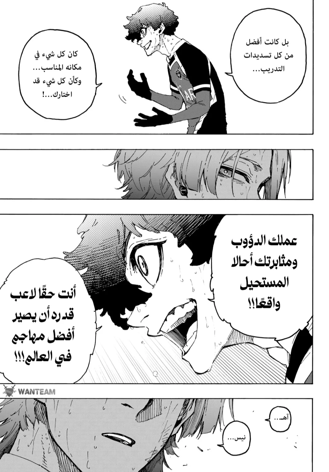 الصفحة 11 من 19