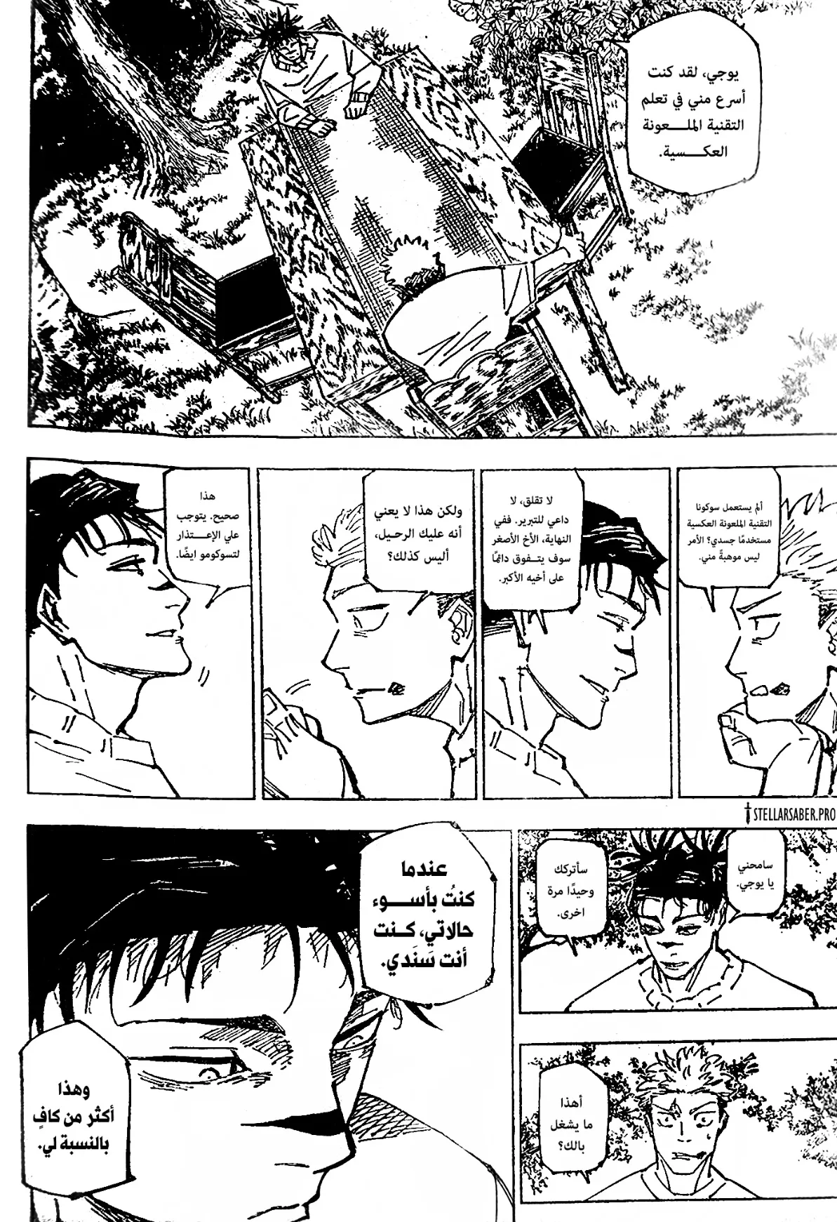 الصفحة 7 من 17