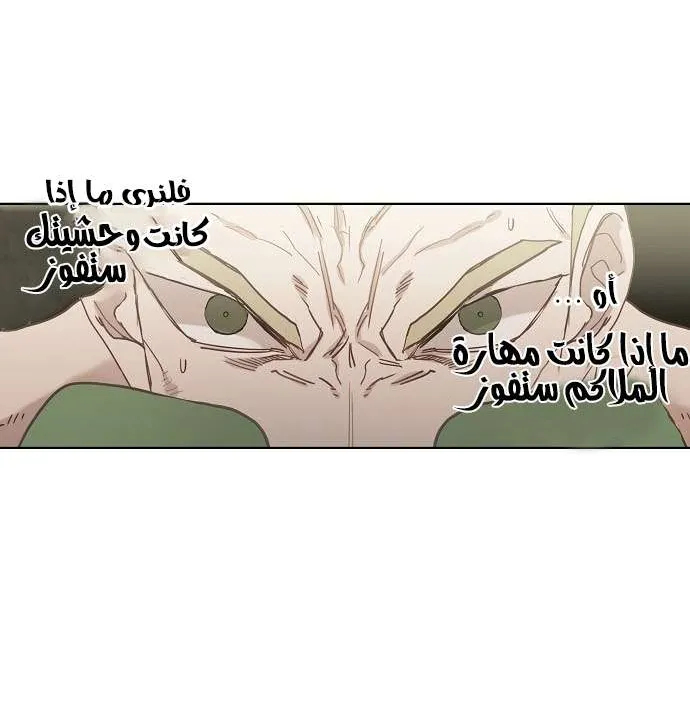 الصفحة 55 من 71