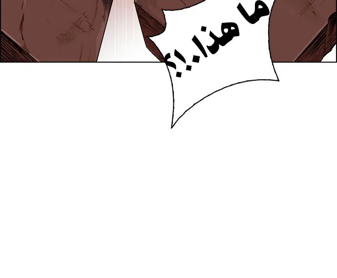 الصفحة 5 من 55