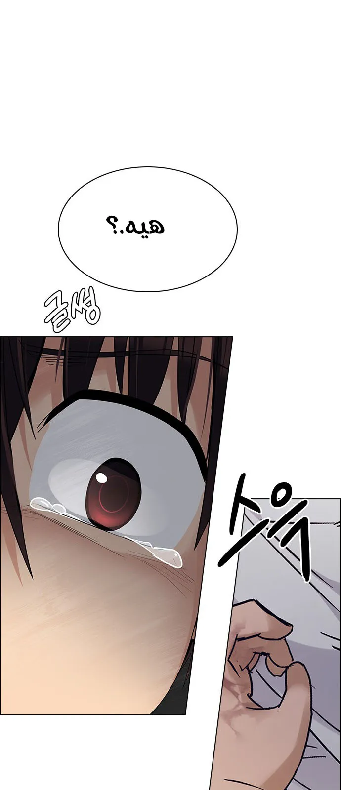 الصفحة 49 من 55