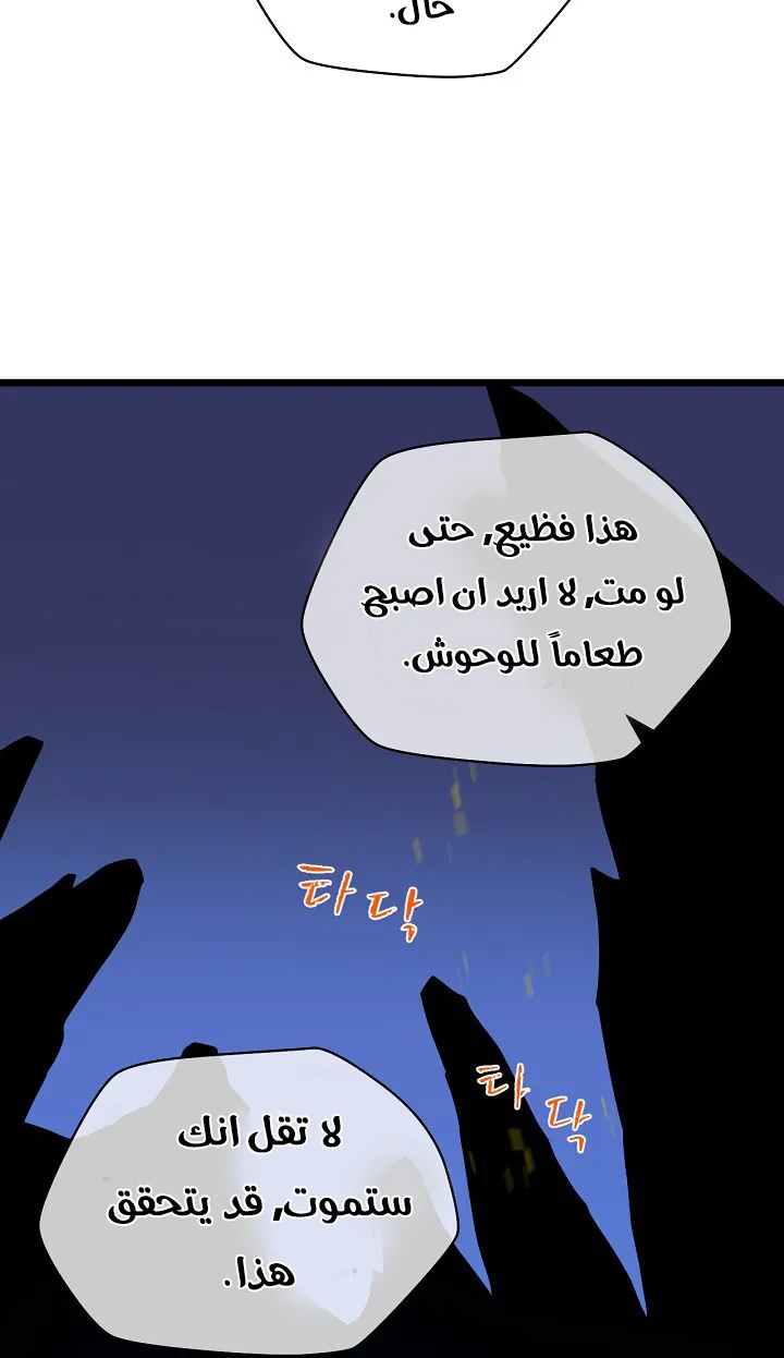 الصفحة 43 من 91