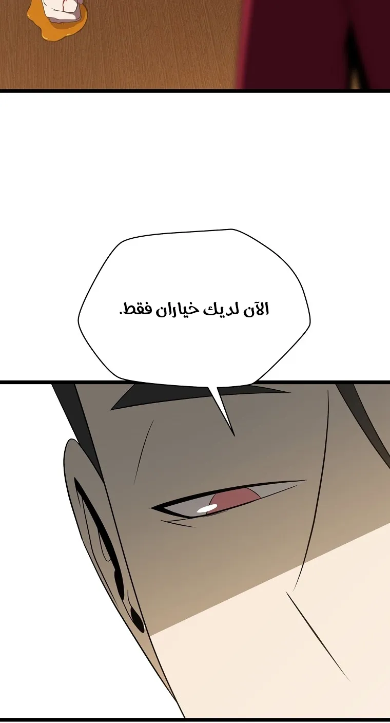 الصفحة 27 من 99