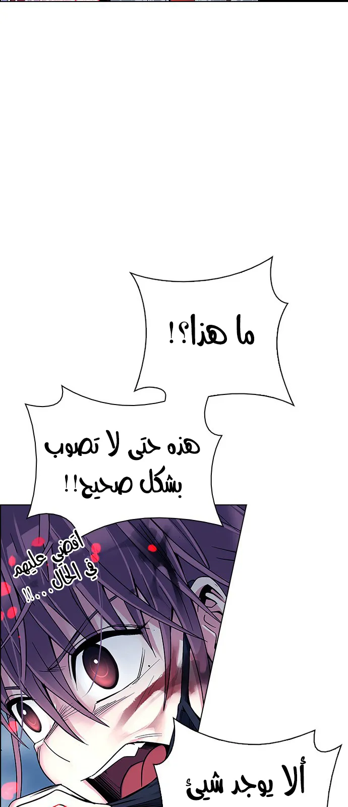 الصفحة 24 من 81