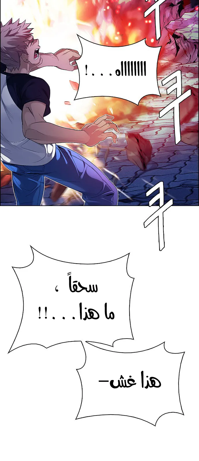 الصفحة 14 من 81