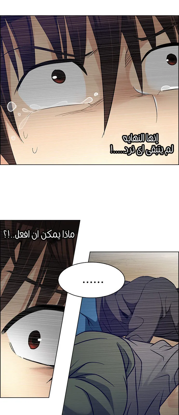 الصفحة 8 من 51