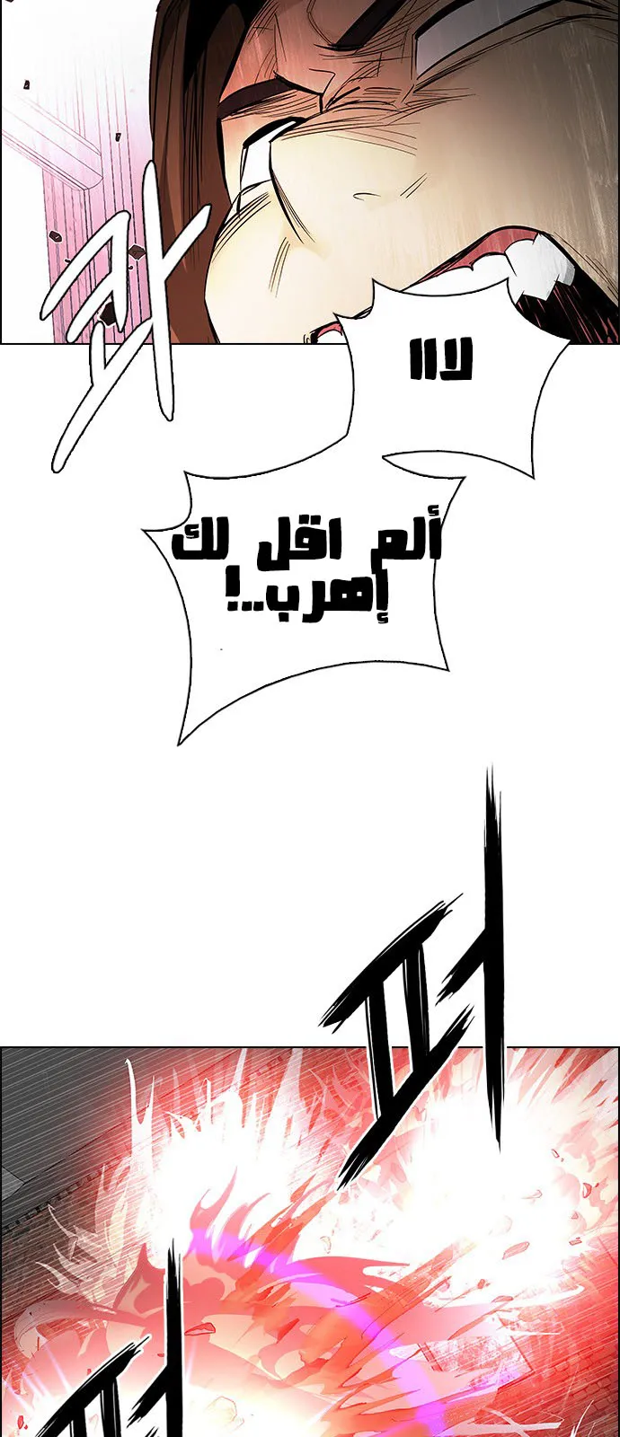 الصفحة 17 من 51
